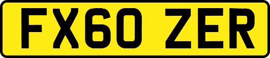 FX60ZER