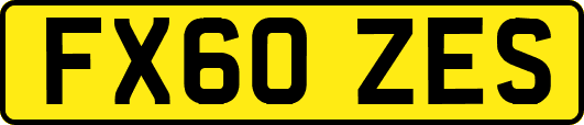 FX60ZES