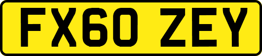 FX60ZEY