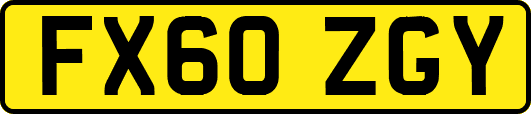 FX60ZGY