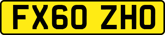 FX60ZHO