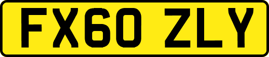 FX60ZLY