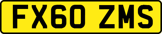 FX60ZMS