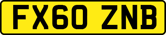 FX60ZNB