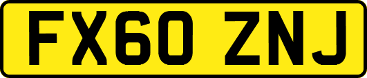 FX60ZNJ
