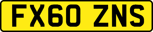 FX60ZNS