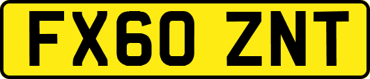 FX60ZNT