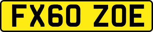 FX60ZOE