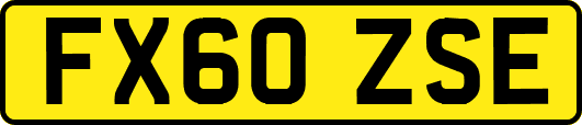 FX60ZSE