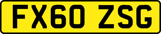 FX60ZSG