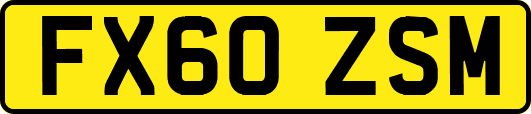 FX60ZSM