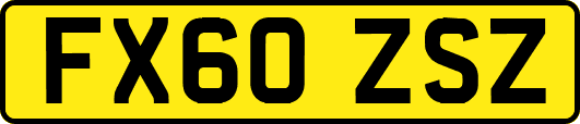 FX60ZSZ