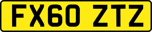 FX60ZTZ