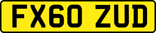 FX60ZUD