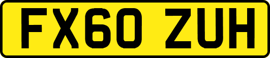 FX60ZUH