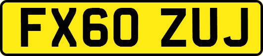 FX60ZUJ