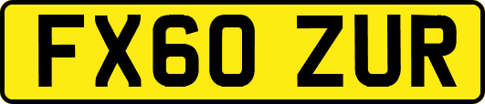 FX60ZUR