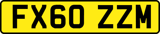 FX60ZZM