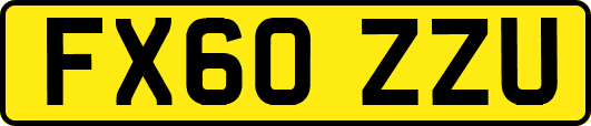 FX60ZZU