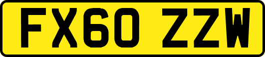 FX60ZZW