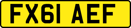 FX61AEF