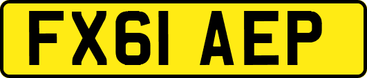FX61AEP