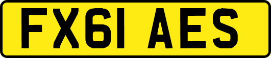 FX61AES