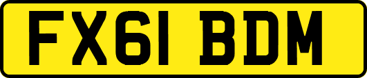 FX61BDM