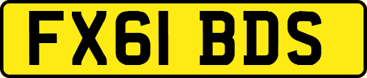 FX61BDS