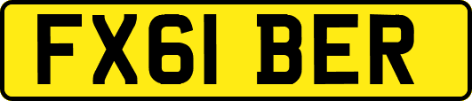 FX61BER