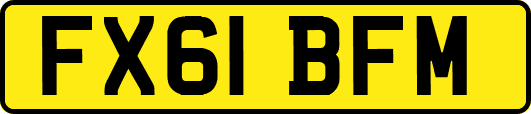 FX61BFM