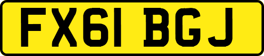 FX61BGJ