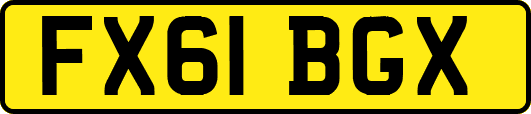 FX61BGX
