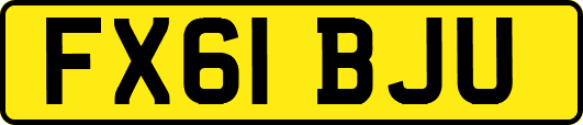 FX61BJU