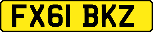 FX61BKZ