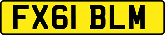 FX61BLM