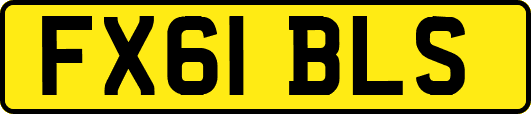 FX61BLS
