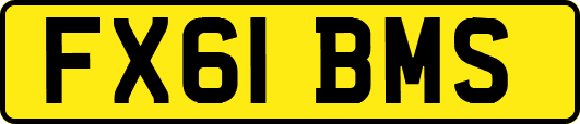 FX61BMS