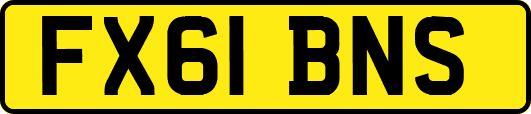 FX61BNS