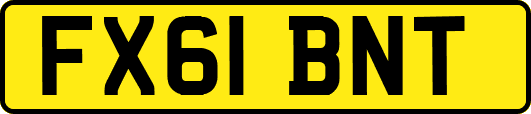 FX61BNT