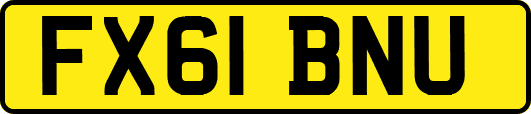 FX61BNU