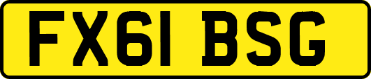 FX61BSG
