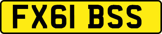 FX61BSS