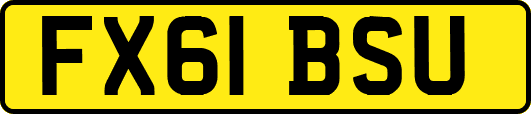 FX61BSU