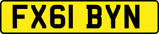 FX61BYN