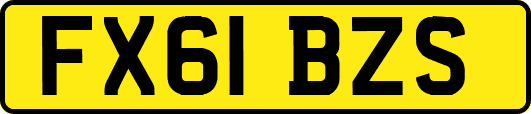 FX61BZS