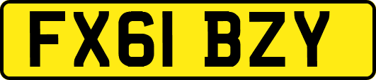 FX61BZY