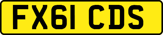 FX61CDS