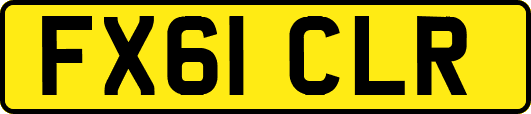 FX61CLR