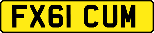 FX61CUM